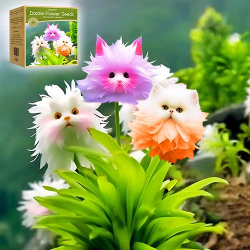 🌼👑GFOUK® Charming Blossom Seeds