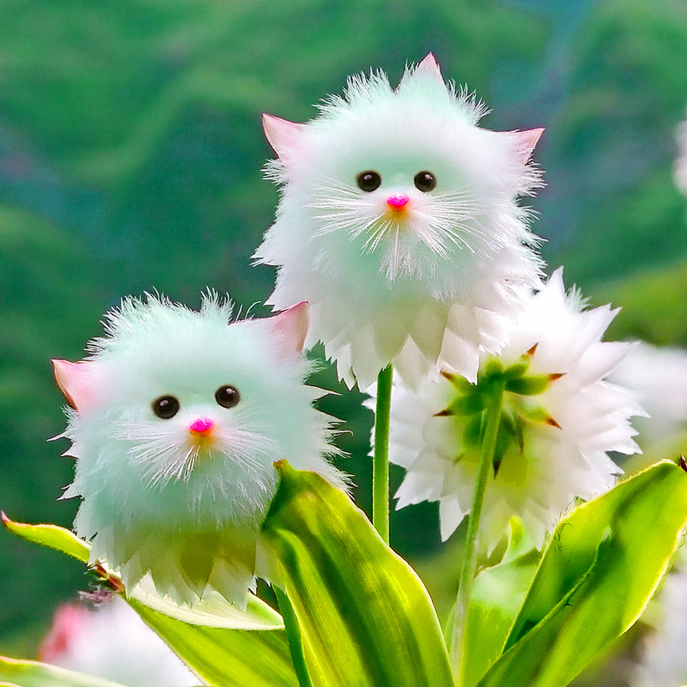 🌼👑GFOUK® Charming Blossom Seeds