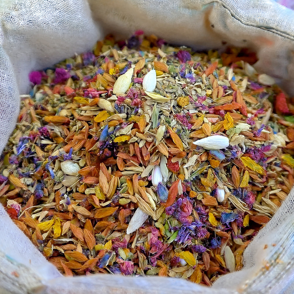 🌼👑GFOUK® Charming Blossom Seeds