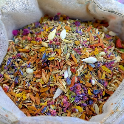 🌼🦩GFOUK® Charming Blossom Seeds